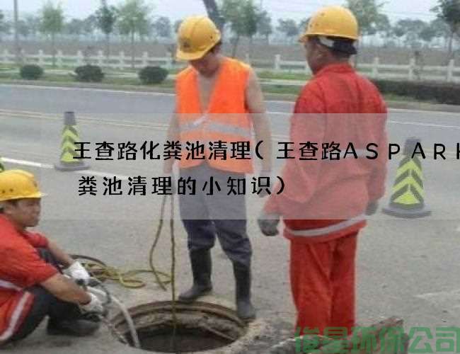 王查路化粪池清理(王查路ASPARK化粪池清理的小知识)