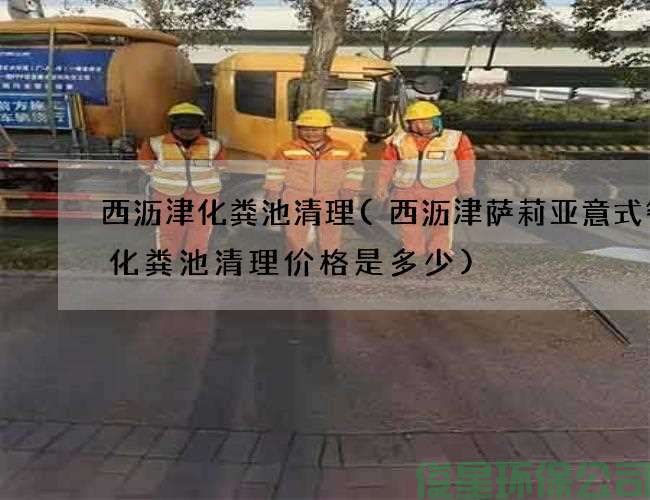 西沥津化粪池清理(西沥津萨莉亚意式餐厅化粪池清理价格是多少)