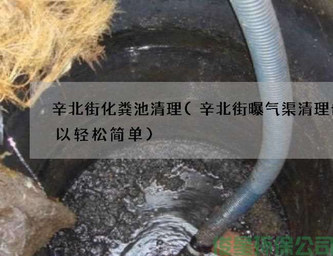 辛北街化粪池清理(辛北街曝气渠清理也可以轻松简单)