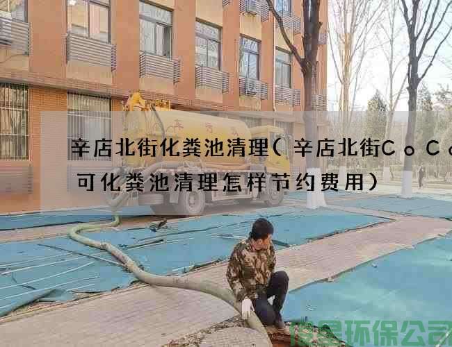 辛店北街化粪池清理(辛店北街CoCo都可化粪池清理怎样节约费用)