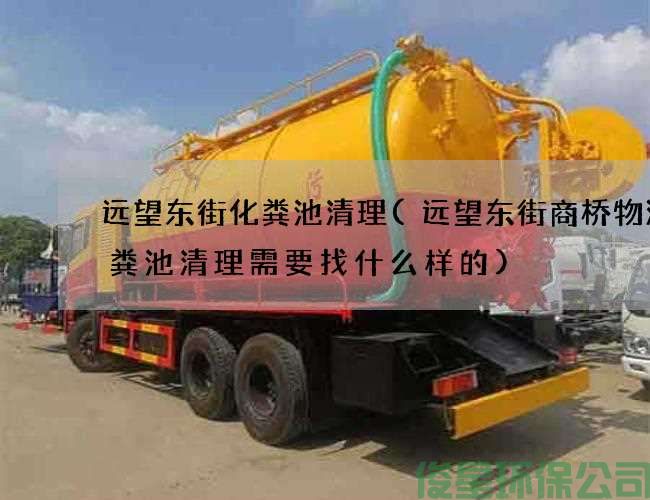 远望东街化粪池清理(远望东街商桥物流化粪池清理需要找什么样的)