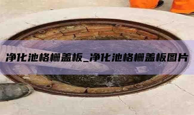 净化池格栅盖板_净化池格栅盖板图片