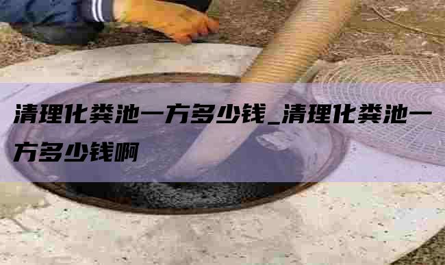 清理化粪池一方多少钱_清理化粪池一方多少钱啊