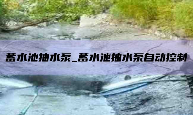 蓄水池抽水泵_蓄水池抽水泵自动控制