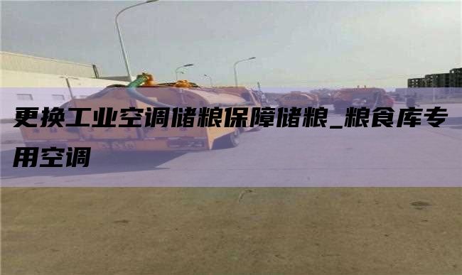 更换工业空调储粮保障储粮_粮食库专用空调
