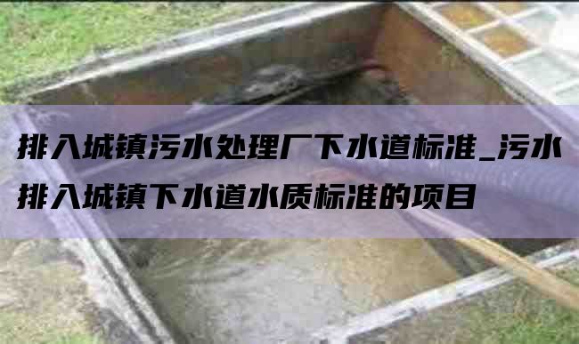 排入城镇污水处理厂下水道标准_污水排入城镇下水道水质标准的项目