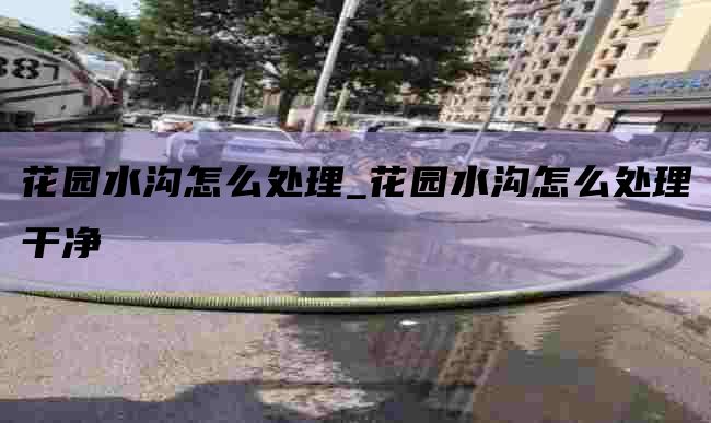 花园水沟怎么处理_花园水沟怎么处理干净