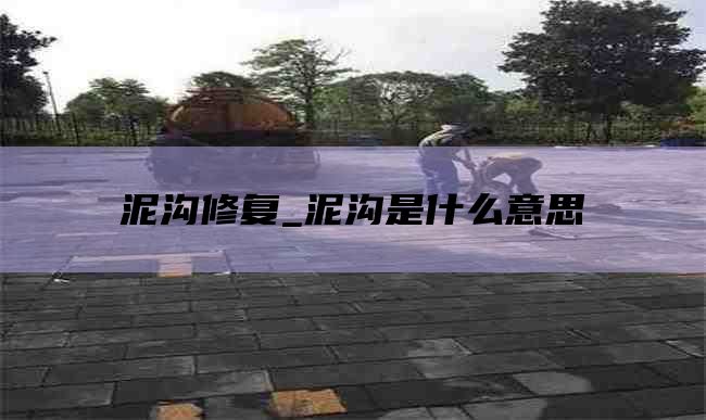 泥沟修复_泥沟是什么意思