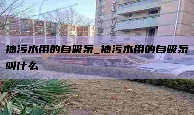 抽污水用的自吸泵_抽污水用的自吸泵叫什么
