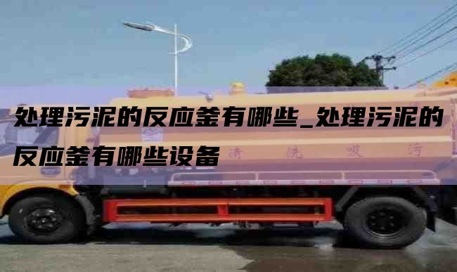 处理污泥的反应釜有哪些_处理污泥的反应釜有哪些设备