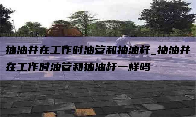 抽油井在工作时油管和抽油杆_抽油井在工作时油管和抽油杆一样吗