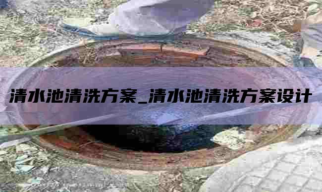 清水池清洗方案_清水池清洗方案设计