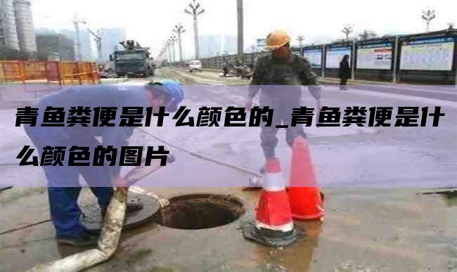 青鱼粪便是什么颜色的_青鱼粪便是什么颜色的图片
