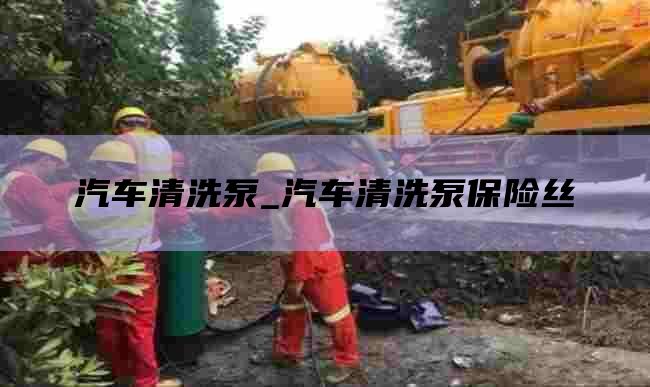 汽车清洗泵_汽车清洗泵保险丝