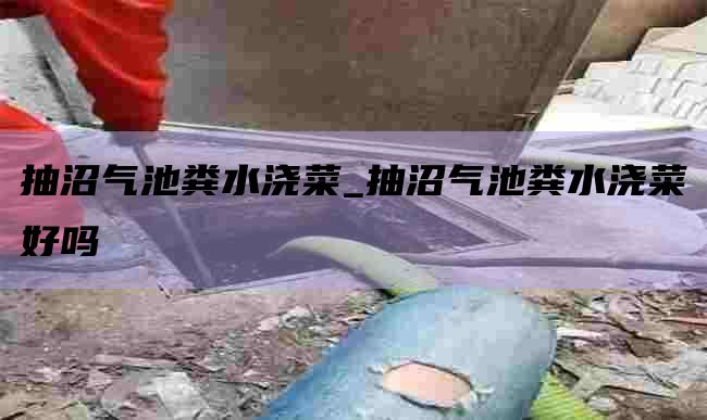 抽沼气池粪水浇菜_抽沼气池粪水浇菜好吗