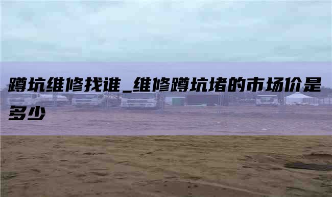 蹲坑维修找谁_维修蹲坑堵的市场价是多少